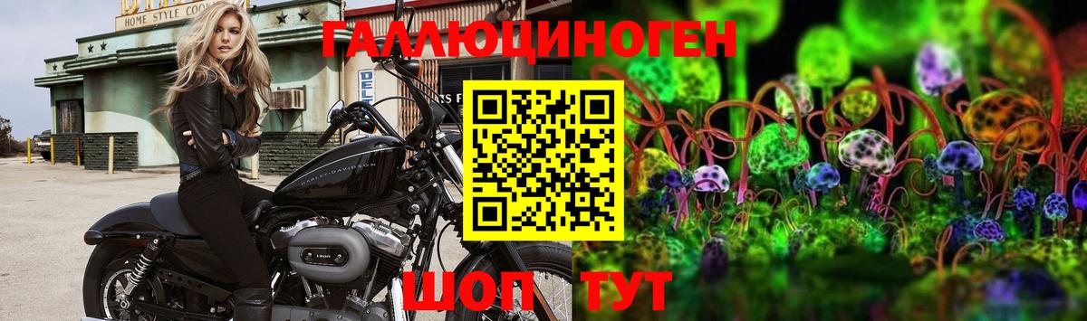 Галлюциногенные грибы Psilocybine cubensis  Вход с VPN  Чайковский 